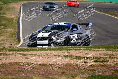 media/Feb-25-2024-Speed Ventures (Sun) [[b9a2a97a4d]]/Mustang Drivers Club/Session 3 (Turn 2)/